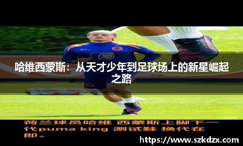 qm球盟会